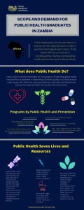 des programmes de maîtrise en santé publique